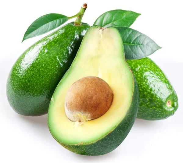 Avocado Fuerte